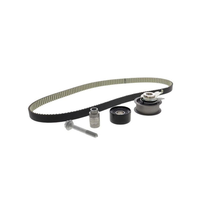 21SKV004 Finalidade da substituição/reparação do Kit de Cinturão de Cadeia de Temporização do Motor para VW Audi 04E198119A