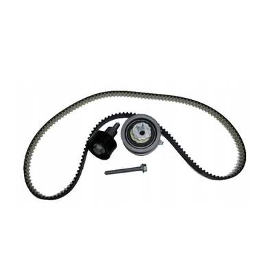 21SKV004 Finalidade da substituição/reparação do Kit de Cinturão de Cadeia de Temporização do Motor para VW Audi 04E198119A